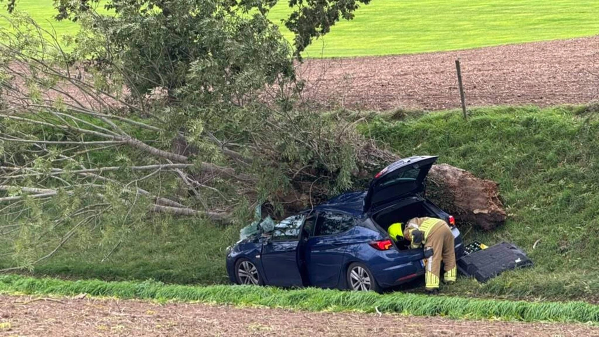 LIVE | Gewonde nadat boom op auto valt tijdens storm Austen