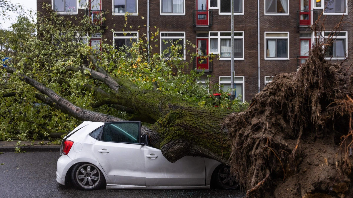 Stormen zorgen voor golf aan schadeclaims bij verzekeraars: ’Huizen en auto’s getroffen’