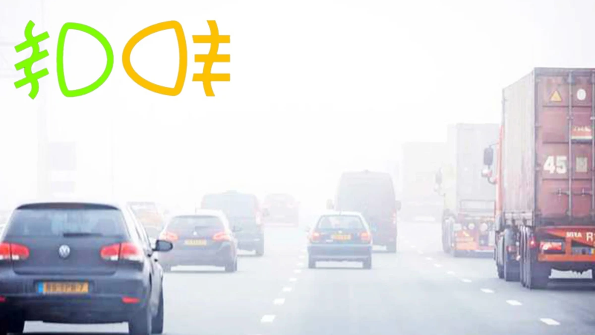 Pas op! Hierop moet je letten als het mistig is op de weg