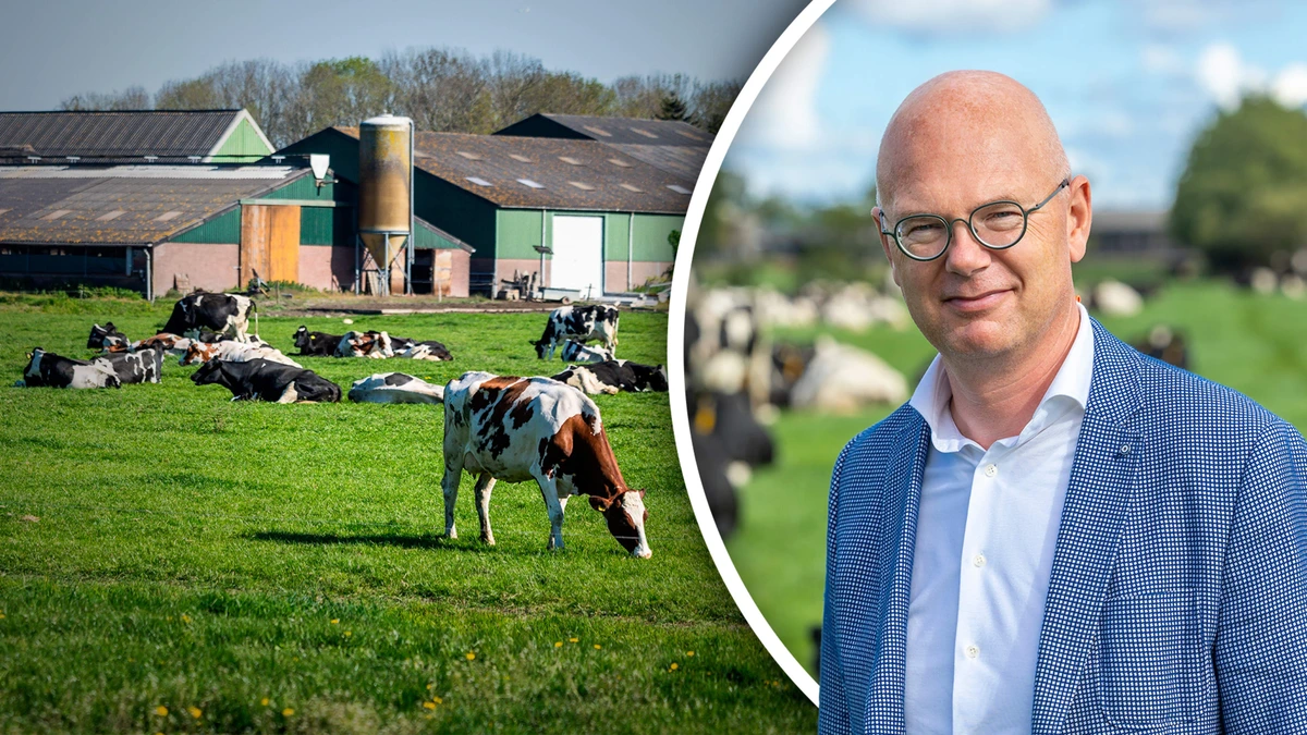 Praktisch geen enkele melkveehouder voldoet aan alle stikstofeisen: ’Nieuwe norm is een sluipmoordenaar’