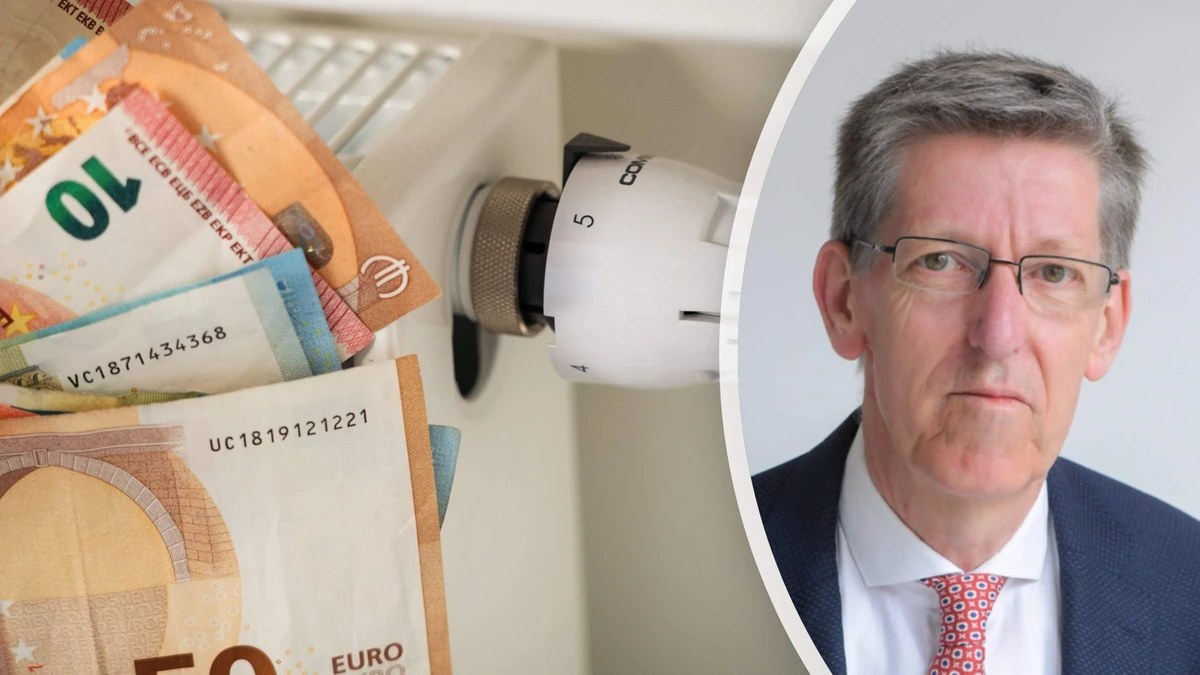 Hoogleraar Machiel Mulder: ’Ingrijpen overheid leidt te vaak tot te hoge energiekosten huishoudens’