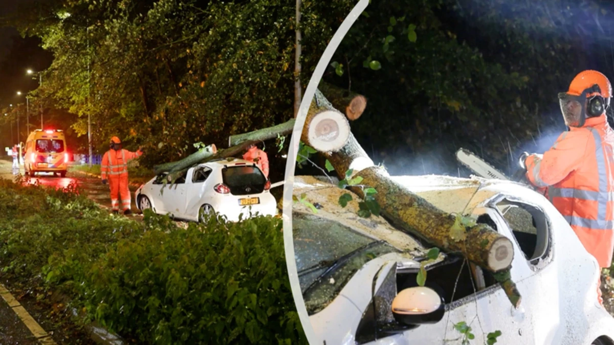 Beelden: boom valt op rijdende auto in Amsterdam