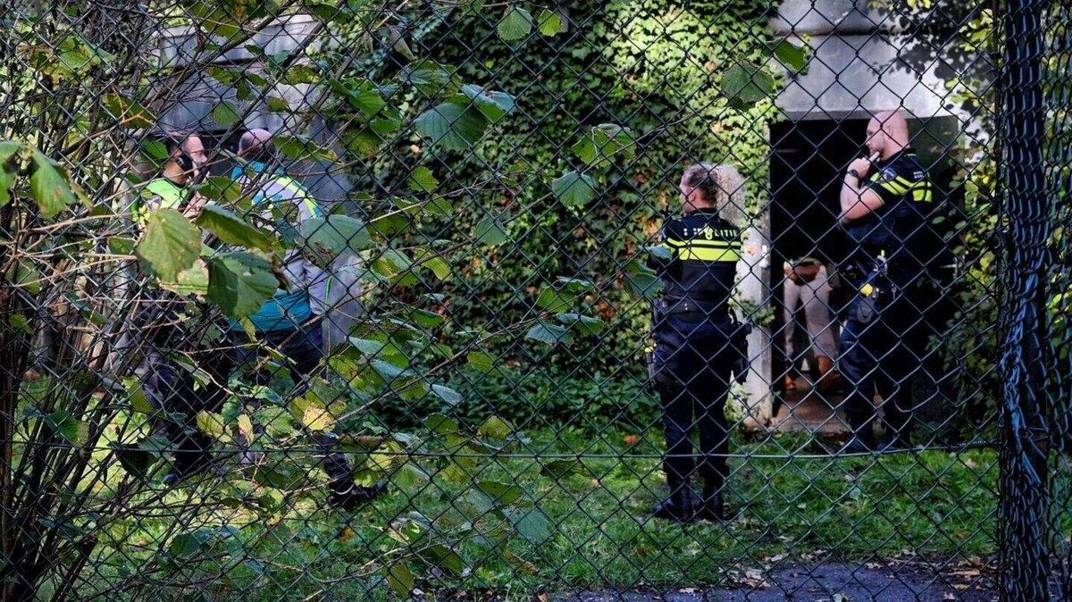 Collega’s Beekse Bergen aangeslagen na panteraanval verzorgster, kans op herstel ’heel klein’: ’Ze kende de regels, ergens is iets fout gegaan’