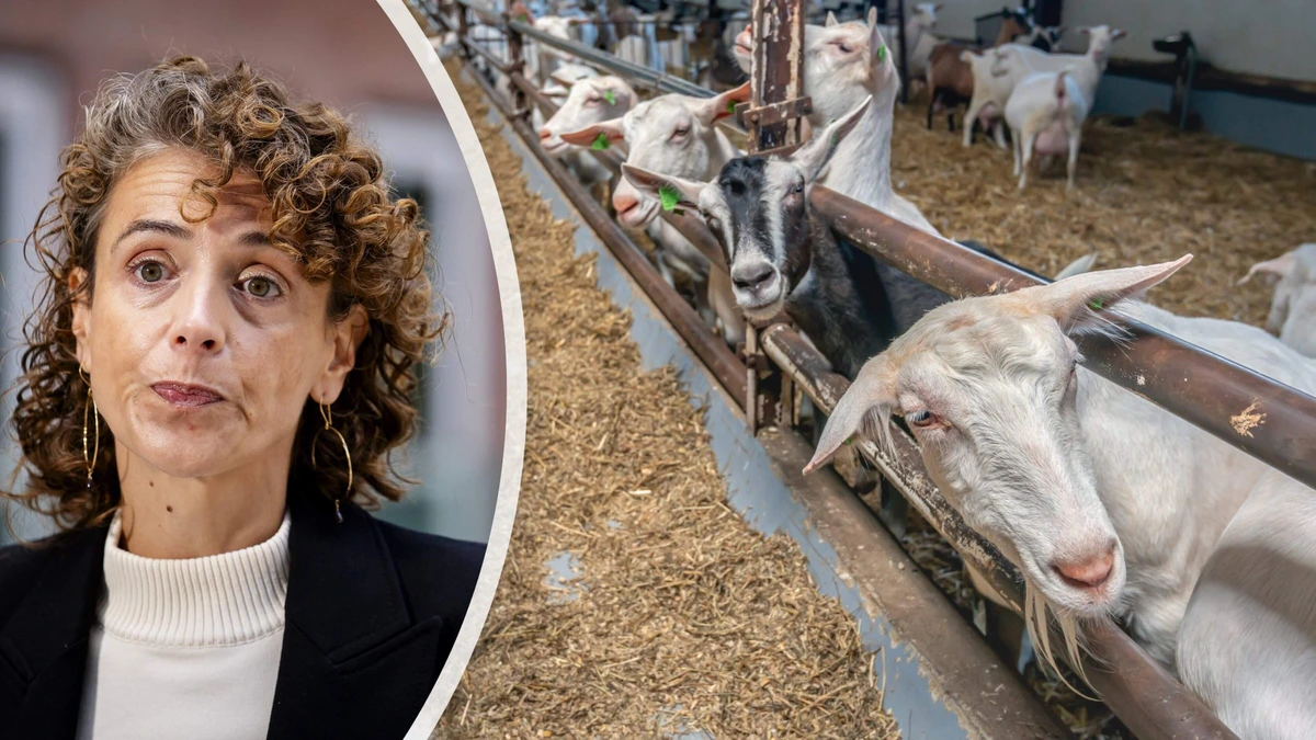 Minister Hermans maakt excuses aan Q-koortspatiënten: ’Uit de grond van mijn hart’
