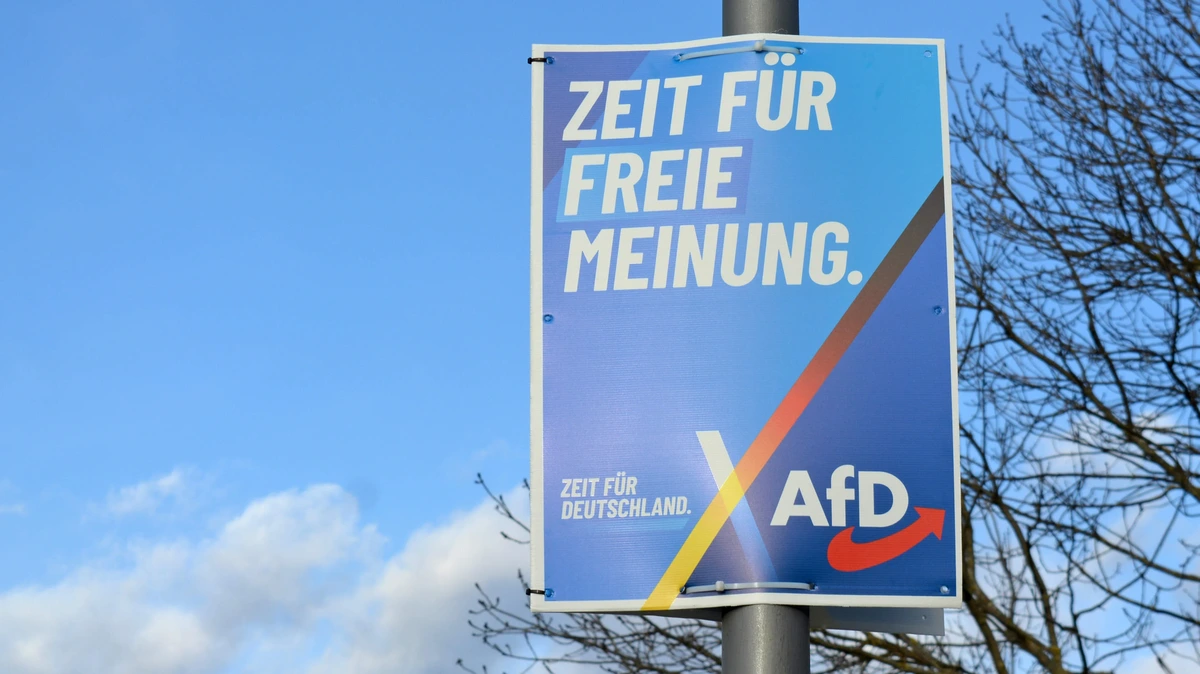 AfD gehackt: honderduizenden interne mails Duitse partij gepubliceerd