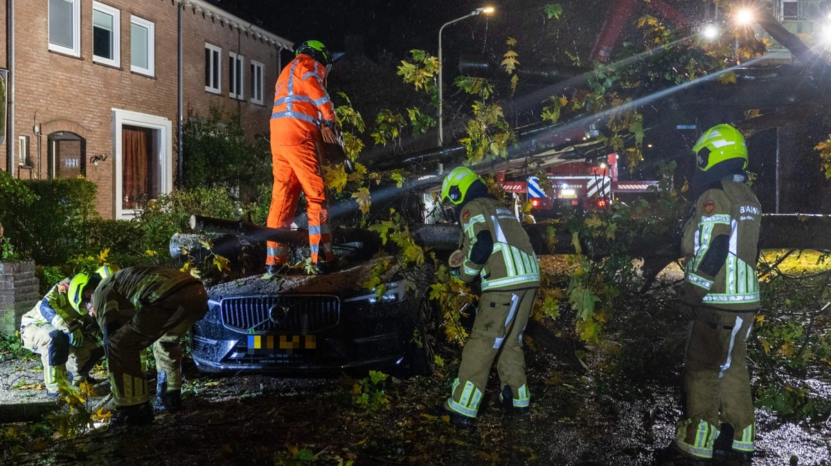 LIVE | Storm Boelo laat schade achter: meerdere bomen op auto’s gewaaid