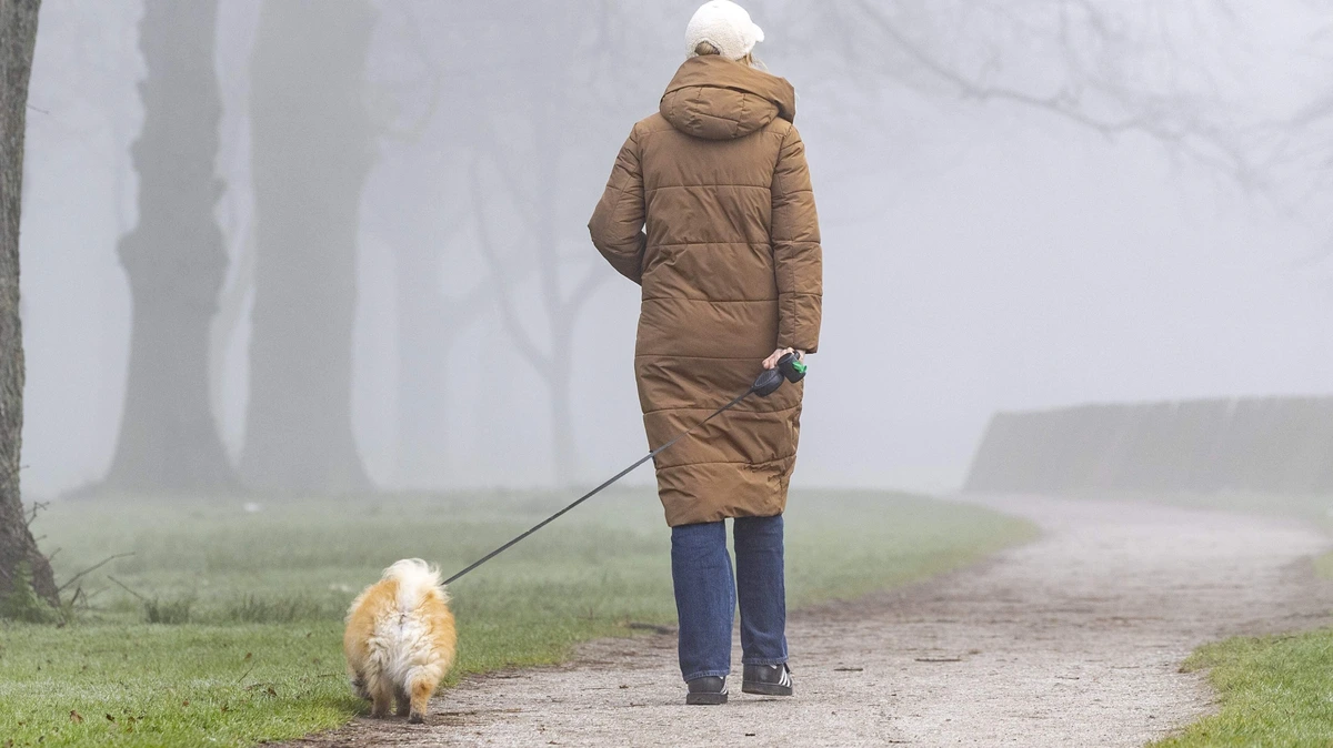 Woensdag mistige start, maar later steeds meer zon: regen blijft komende dagen  grotendeels uit