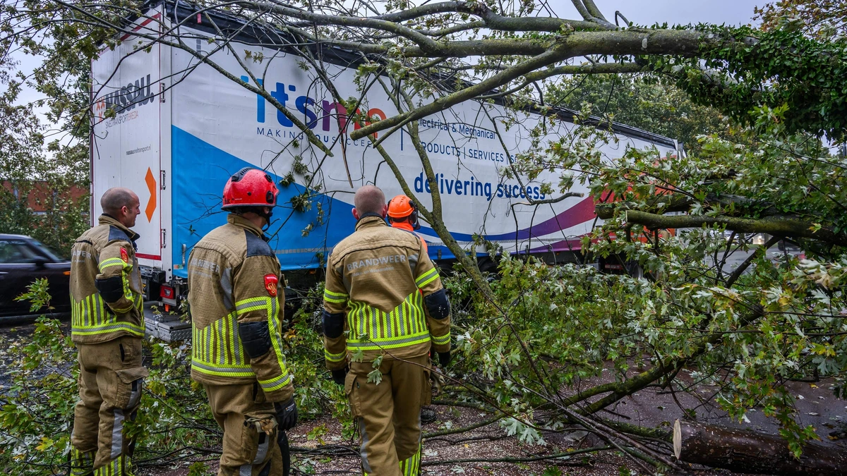 LIVE | KNMI waarschuwt voor code geel: zware windstoten tot minstens zondagochtend