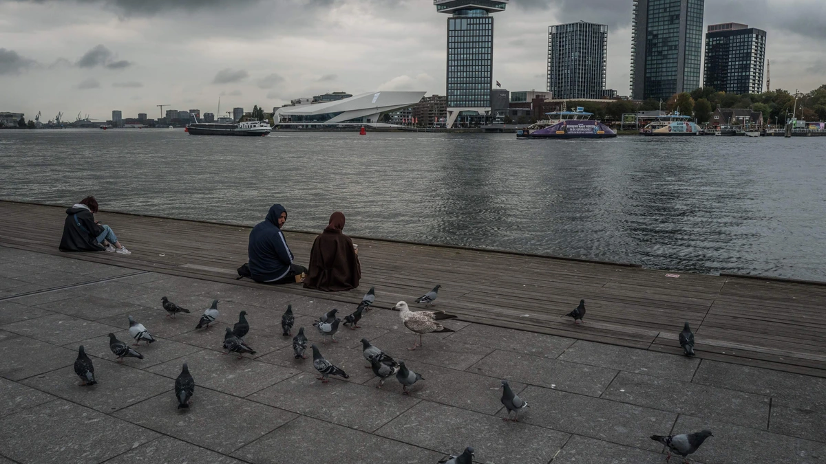 Koude zondag breekt warme reeks: temperatuur duikt overal in Nederland onder 15 graden