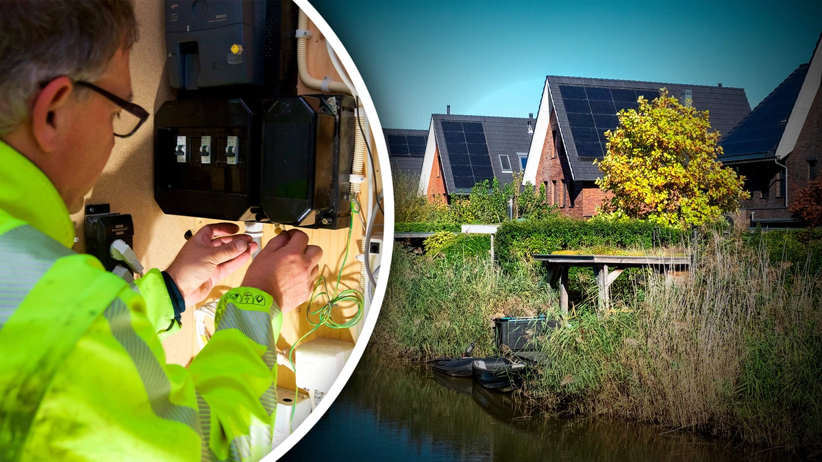 Energiesector wil duizend statushouders opleiden mét baangarantie voor aanpak overvol stroomnet