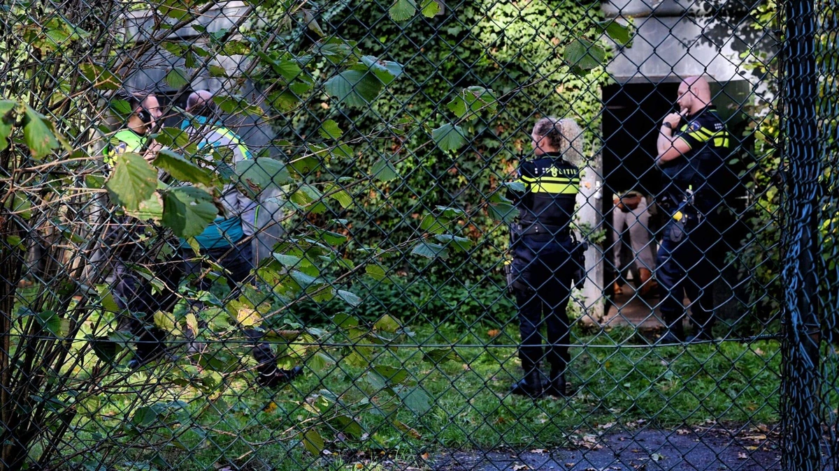 Verzorgster Beekse Bergen in kritieke toestand na aanval door Perzische panter