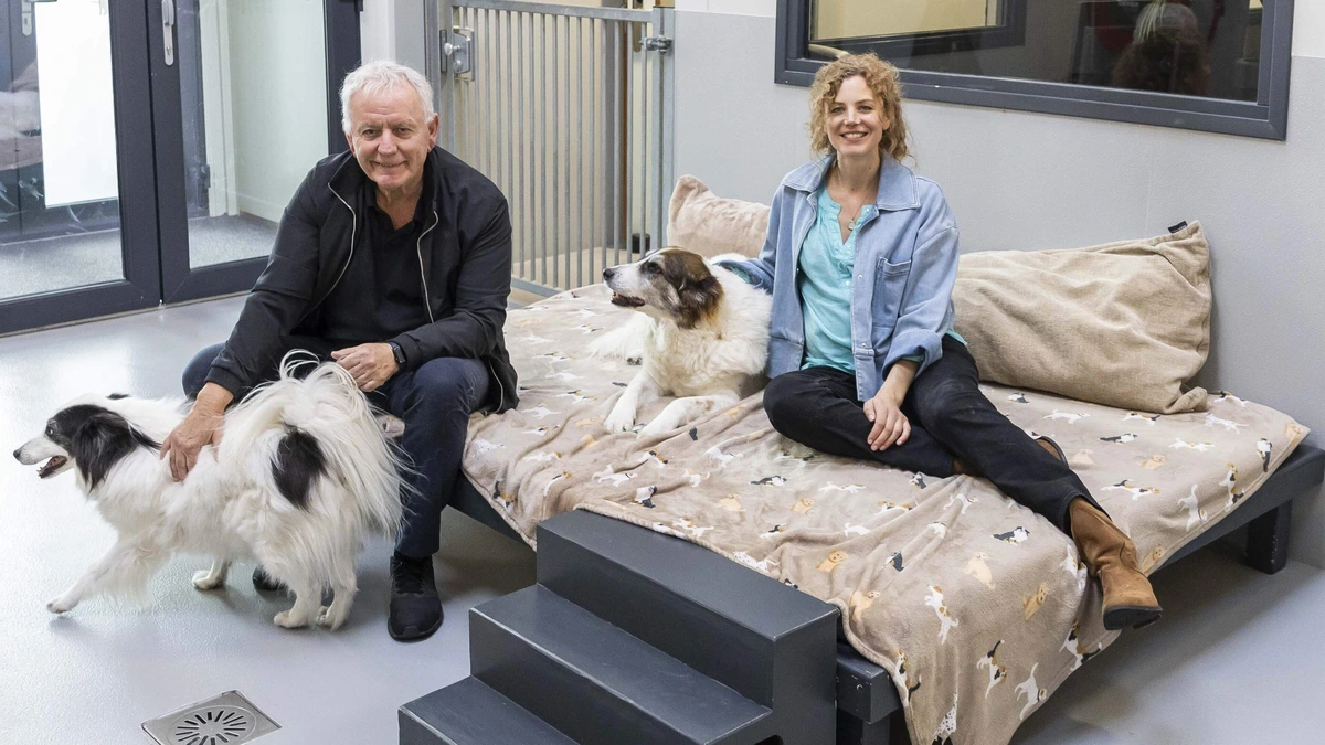 Dieren moeten ouderen uit de eenzaamheid helpen: ’Mensen fleuren enorm op als zij in contact komen met een hond of kat’