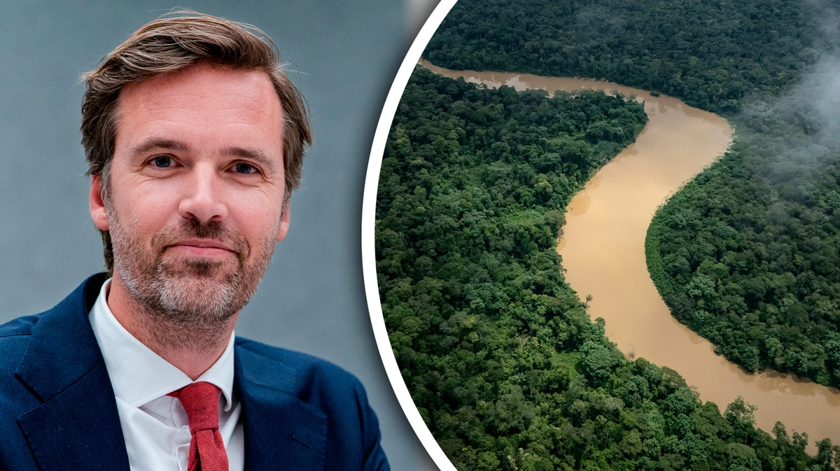 Nederland trekt honderden miljoenen uit voor bescherming tropische bossen