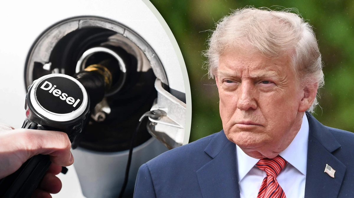 G7-landen brengen miljoenen vaten diesel op de markt, prijs daalt 7 procent